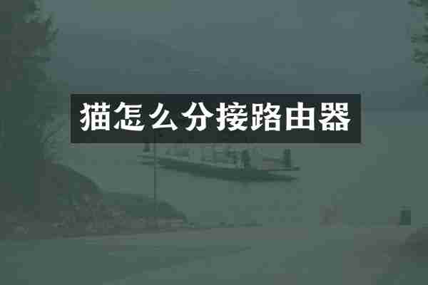 猫怎么分接路由器