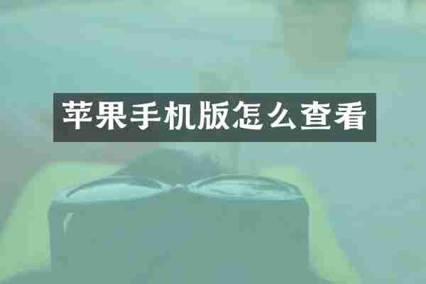 苹果手机版怎么查看