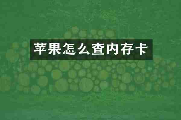 苹果怎么查内存卡