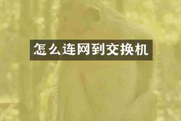 怎么连网到交换机