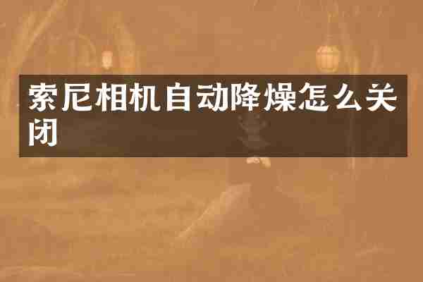 索尼相机自动降燥怎么关闭