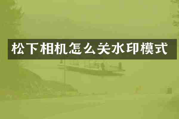 松下相机怎么关水印模式