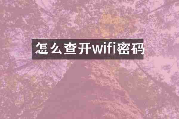 怎么查开wifi密码