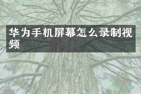 华为手机屏幕怎么录制视频