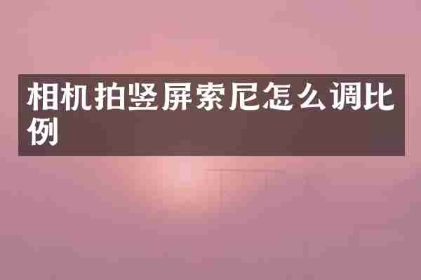 相机拍竖屏怎么调比例