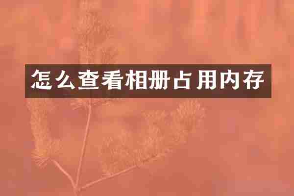 怎么查看相册占用内存