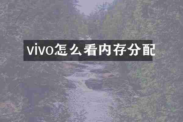 vivo怎么看内存分配