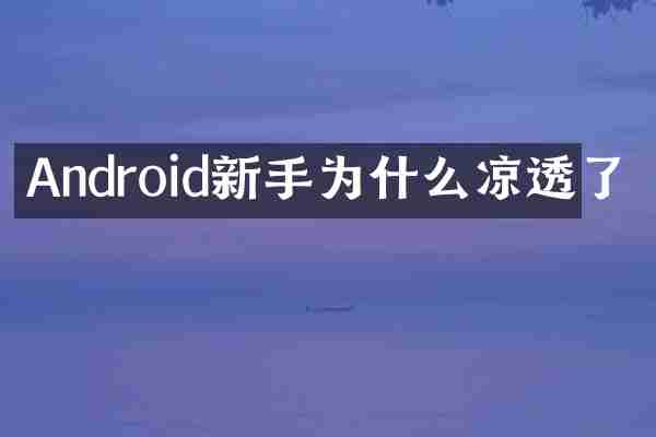 Android新手为什么凉透了