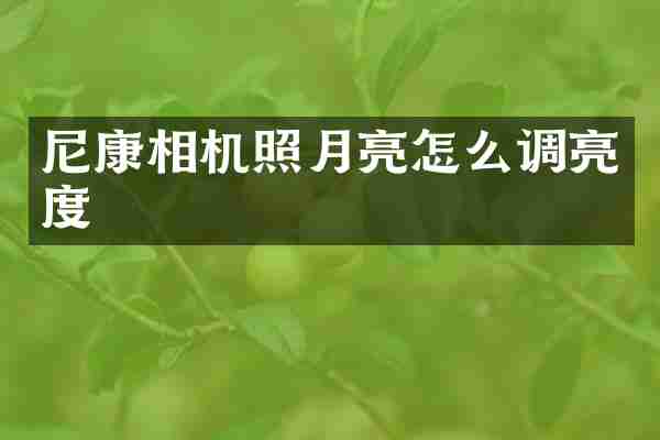 尼康相机照月亮怎么调亮度
