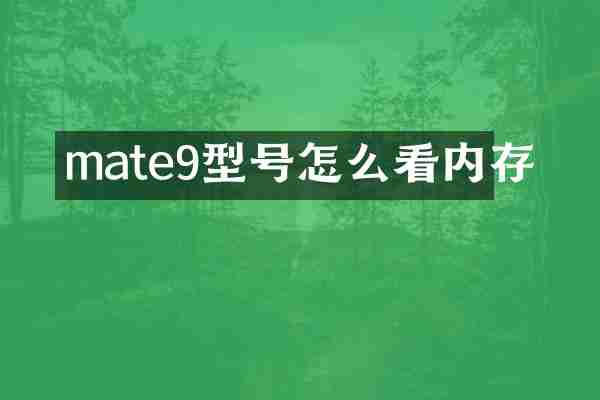 mate9型号怎么看内存
