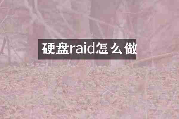 硬盘raid怎么做
