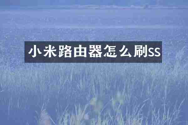 小米路由器怎么刷ss