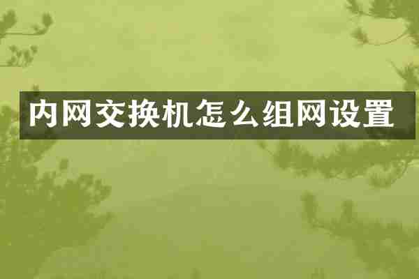 内网交换机怎么组网设置