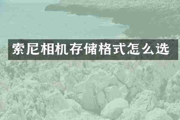 索尼相机存储格式怎么选