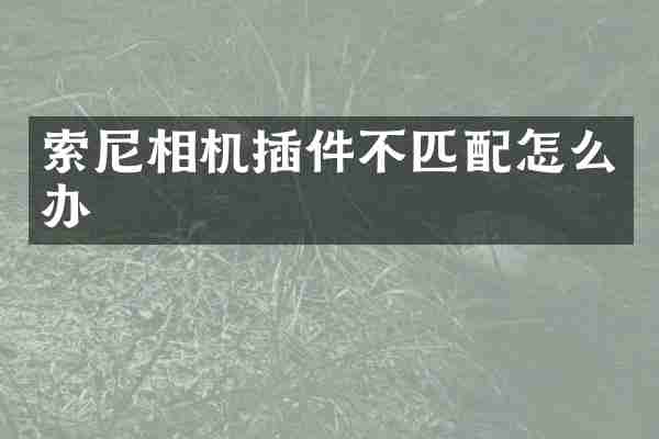 索尼相机插件不匹配怎么办