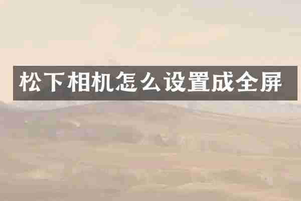松下相机怎么设置成全屏