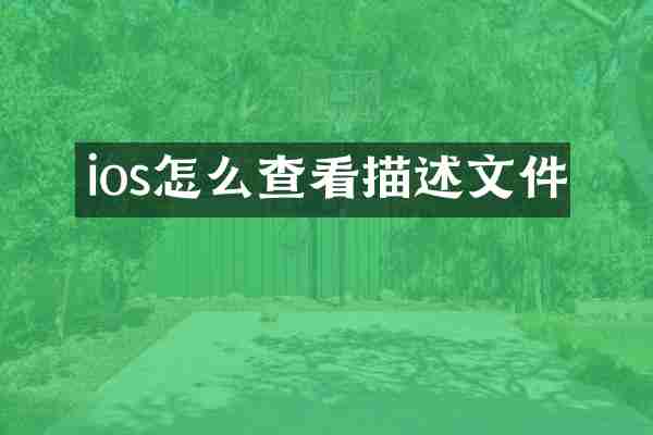 ios怎么查看描述文件