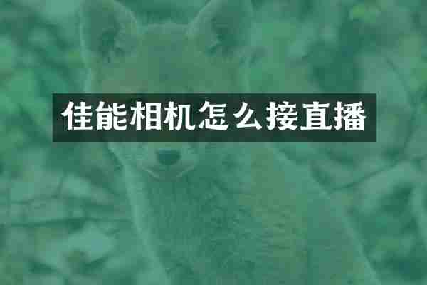 佳能相机怎么接直播