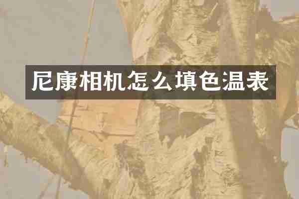 尼康相机怎么填色温表