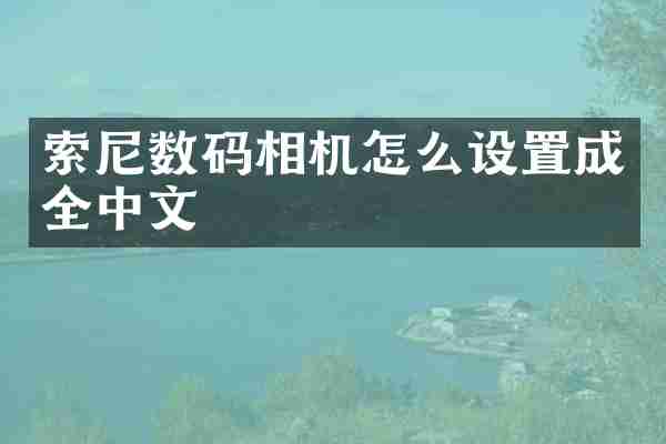 索尼数码相机怎么设置成全中文