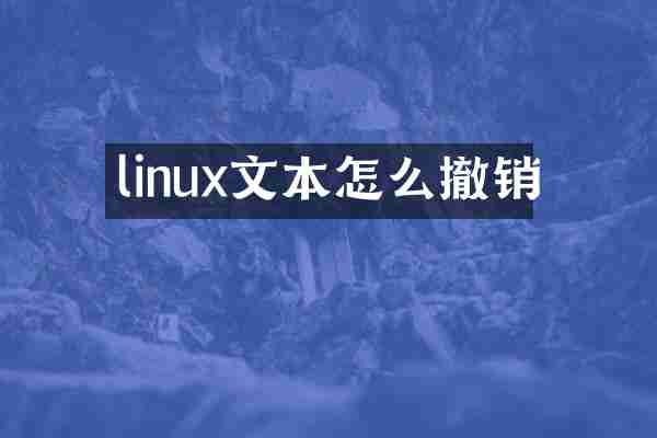 linux文本怎么撤销