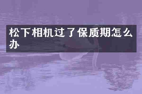 松下相机过了保质期怎么办