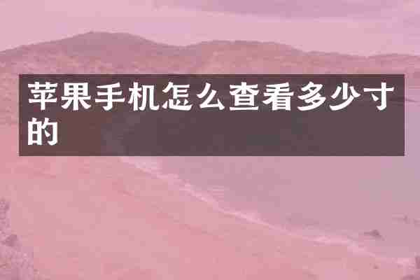 苹果手机怎么查看多少寸的