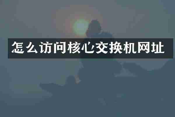 怎么访问核心交换机网址