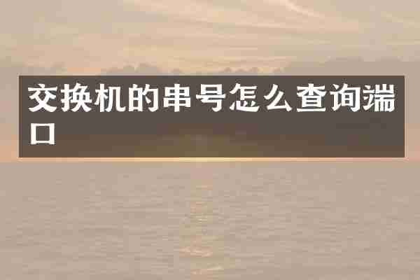 交换机的串号怎么查询端口