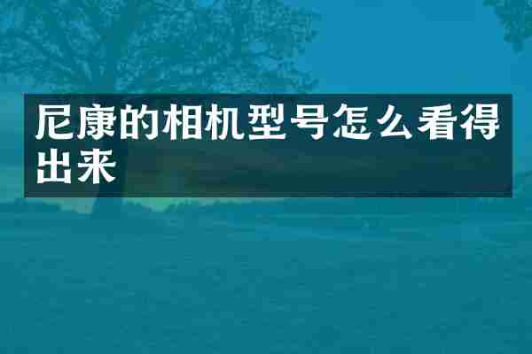 尼康的相机型号怎么看得出来