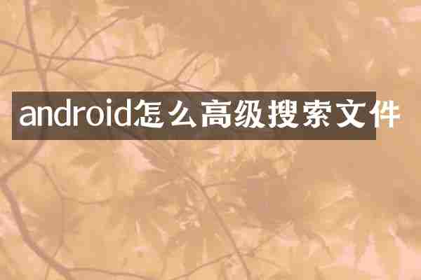 android怎么高级搜索文件