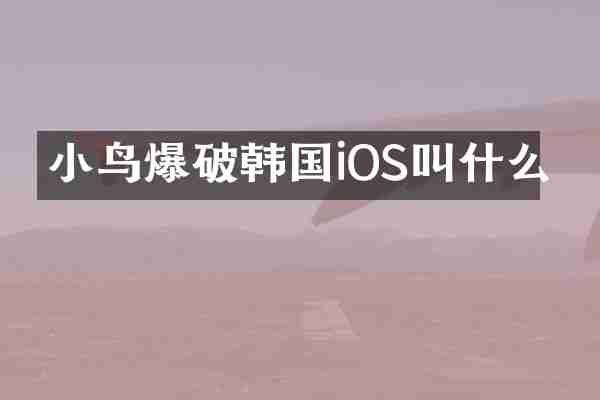 小鸟爆破韩国iOS叫什么