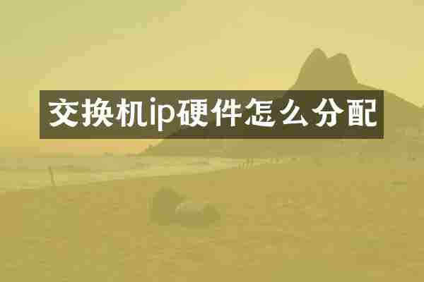 交换机ip硬件怎么分配