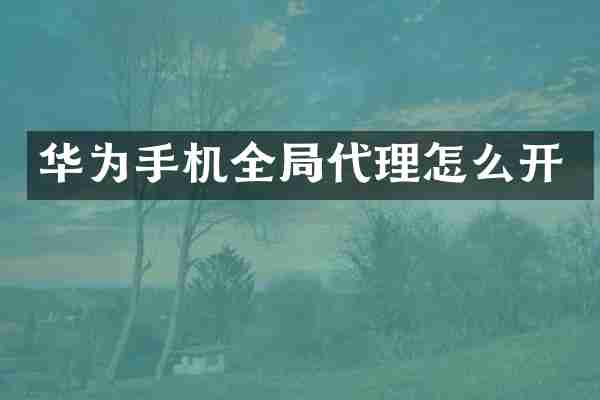 华为手机全局代理怎么开
