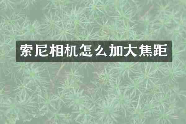 索尼相机怎么加大焦距