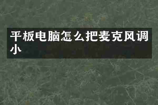 平板电脑怎么把麦克风调小