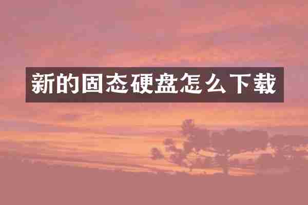 新的固态硬盘怎么下载