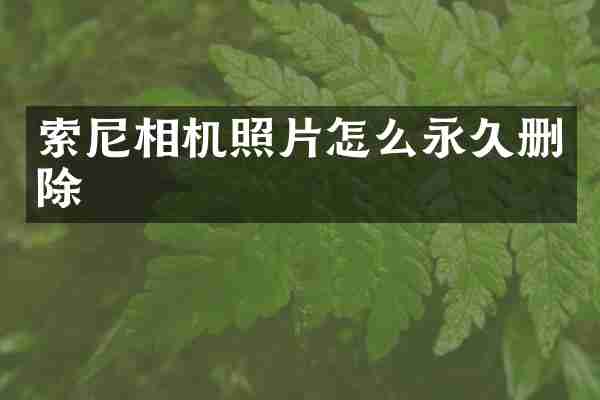 索尼相机照片怎么永久删除