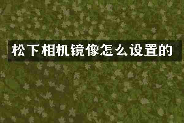 松下相机镜像怎么设置的