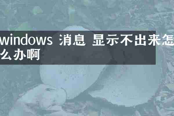 windows 消息 显示不出来怎么办啊