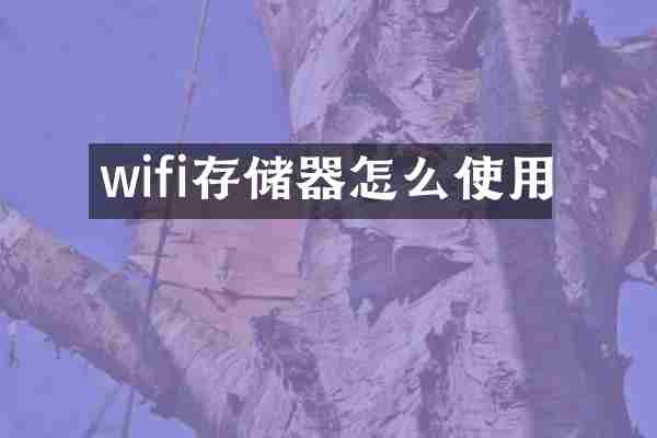 wifi存储器怎么使用