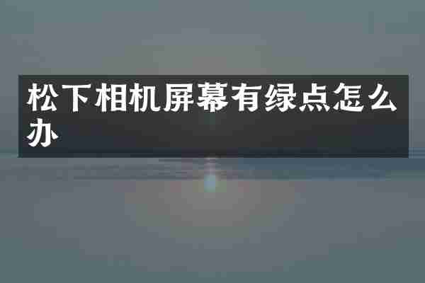 松下相机屏幕有绿点怎么办