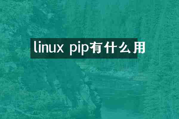 linux pip有什么用