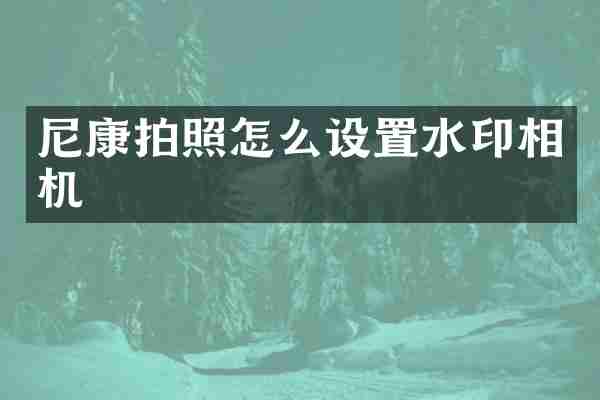 尼康拍照怎么设置水印相机