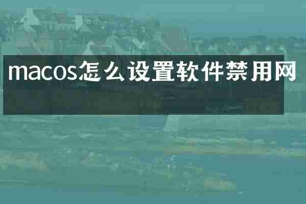 macos怎么设置软件禁用网络