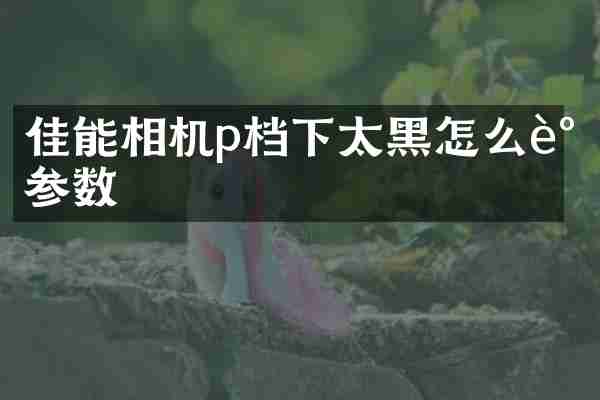 佳能相机p档下太黑怎么调参数