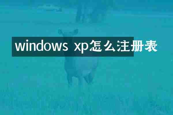 windows xp怎么注册表