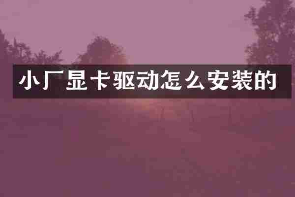 小厂显卡驱动怎么安装的