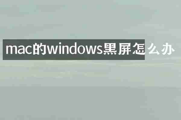 mac的windows黑屏怎么办