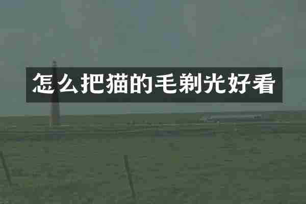 怎么把猫的毛剃光好看